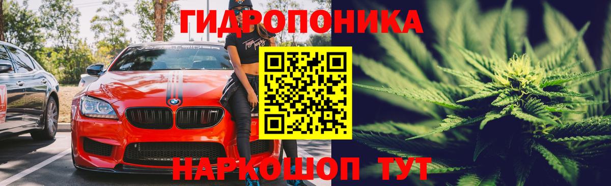Конопля семена  МАРИХУАНА OG Kush  Вход с VPN  Сосновоборск  Конопля конопля  Бошки Шишки OG Kush 